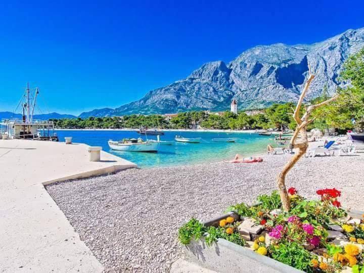 Apartments Andrijanic Baška Voda Zewnętrze zdjęcie
